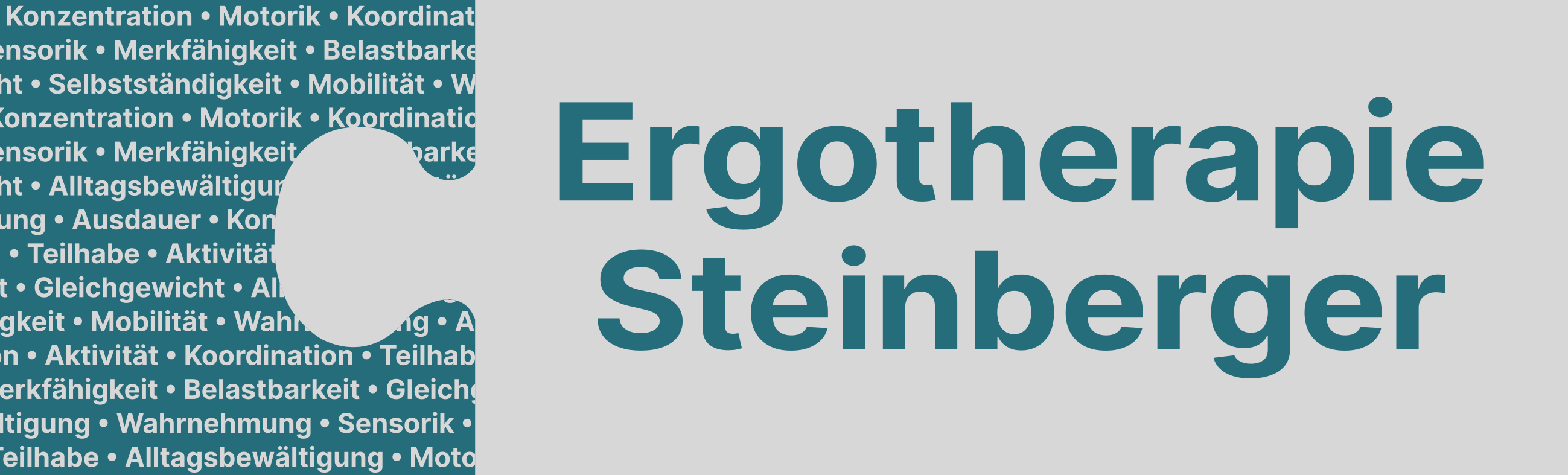 Ergotherapie Steinberger