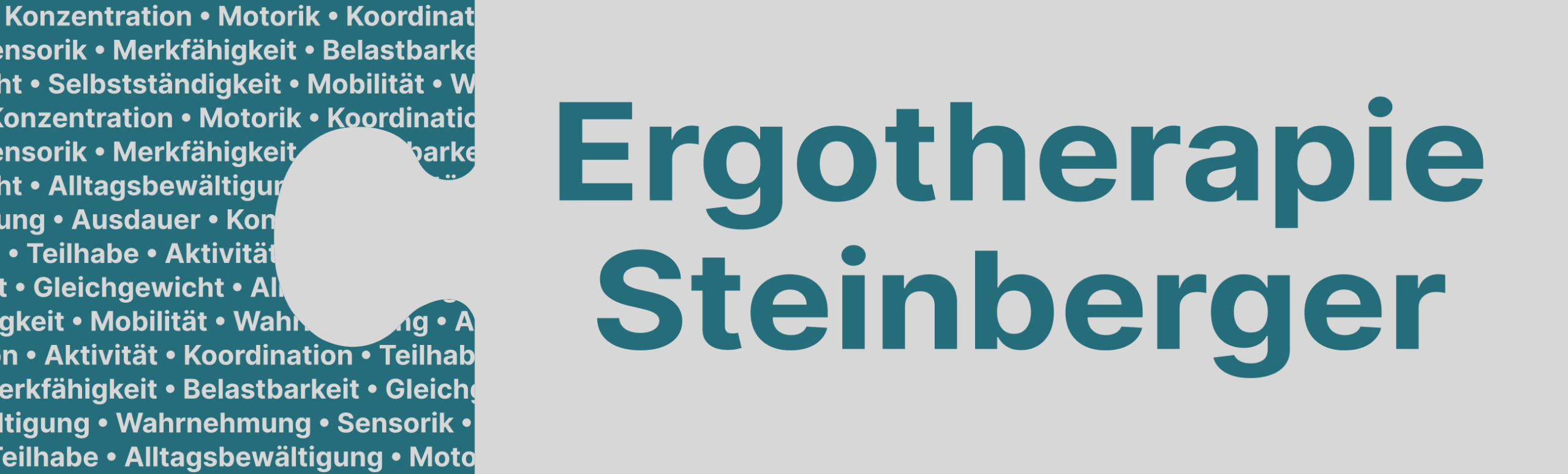 Ergotherapie Steinberger